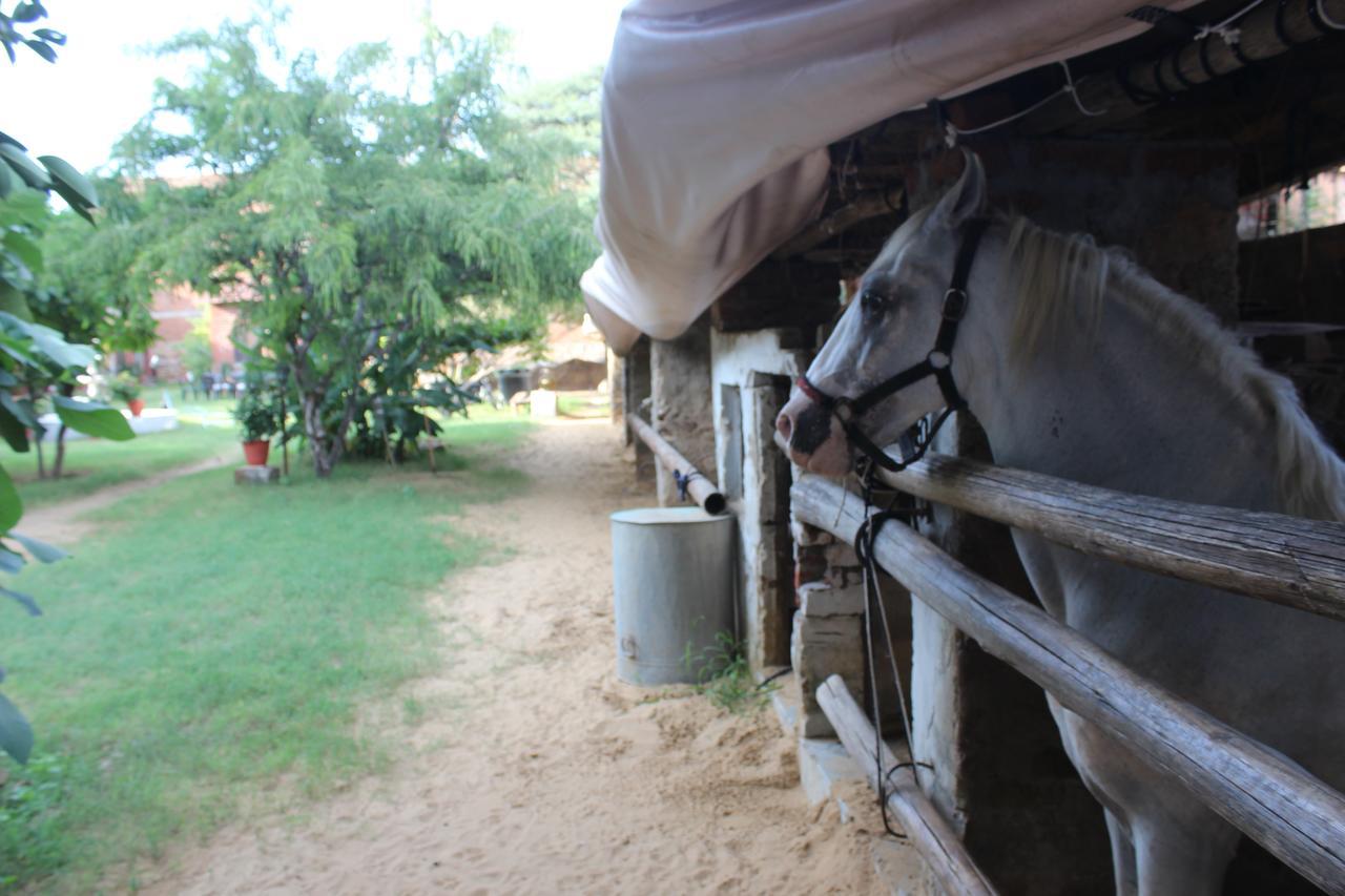 Shannu'S Ranch Inn Pushkar Exterior photo